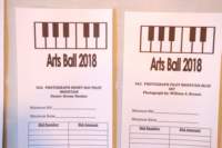 artsball18021607_small.jpg