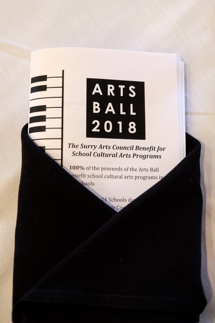 artsball18021825.jpg