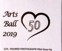 artsball19022930_small.jpg