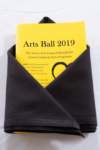 artsball19022935_small.jpg