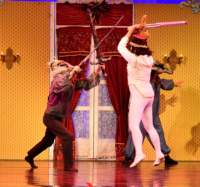 nutcracker_9016_01_small.jpg