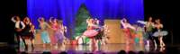 nutcracker_9052_01_small.jpg