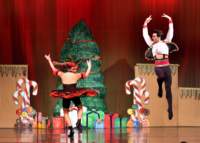 nutcracker_9079_01_small.jpg