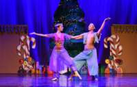 nutcracker_9091_01_small.jpg