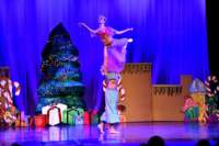 nutcracker_9092_01_small.jpg