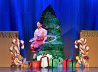 nutcracker_9111_01_small.jpg