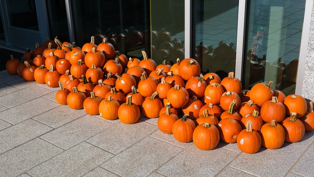 pumpkinworkshop23101.jpg