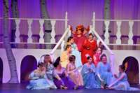 cinderella_0985_01_small.jpg