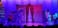 nutcracker_4630_01_small.jpg