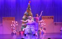 nutcracker_4736_01_small.jpg