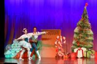 nutcracker_4785_01_small.jpg