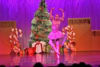 nutcracker_4820_01_small.jpg