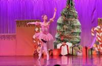 nutcracker_4824_01_small.jpg