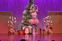 nutcracker_4828_01_small.jpg