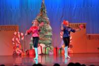 nutcracker_4854_01_small.jpg