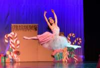 nutcracker_4860_01_small.jpg