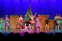 nutcracker_4886_01_small.jpg