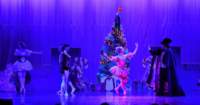 nutcracker_4889_01_small.jpg