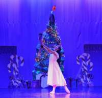 nutcracker_4890_01_small.jpg