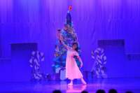 nutcracker_4891_01_small.jpg