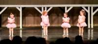 dance_2037_01_small.jpg