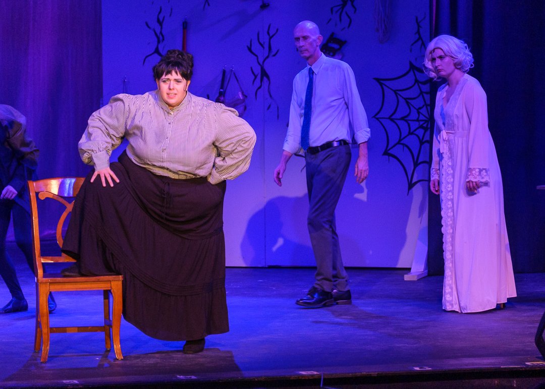 youngfrankenstein241039.jpg