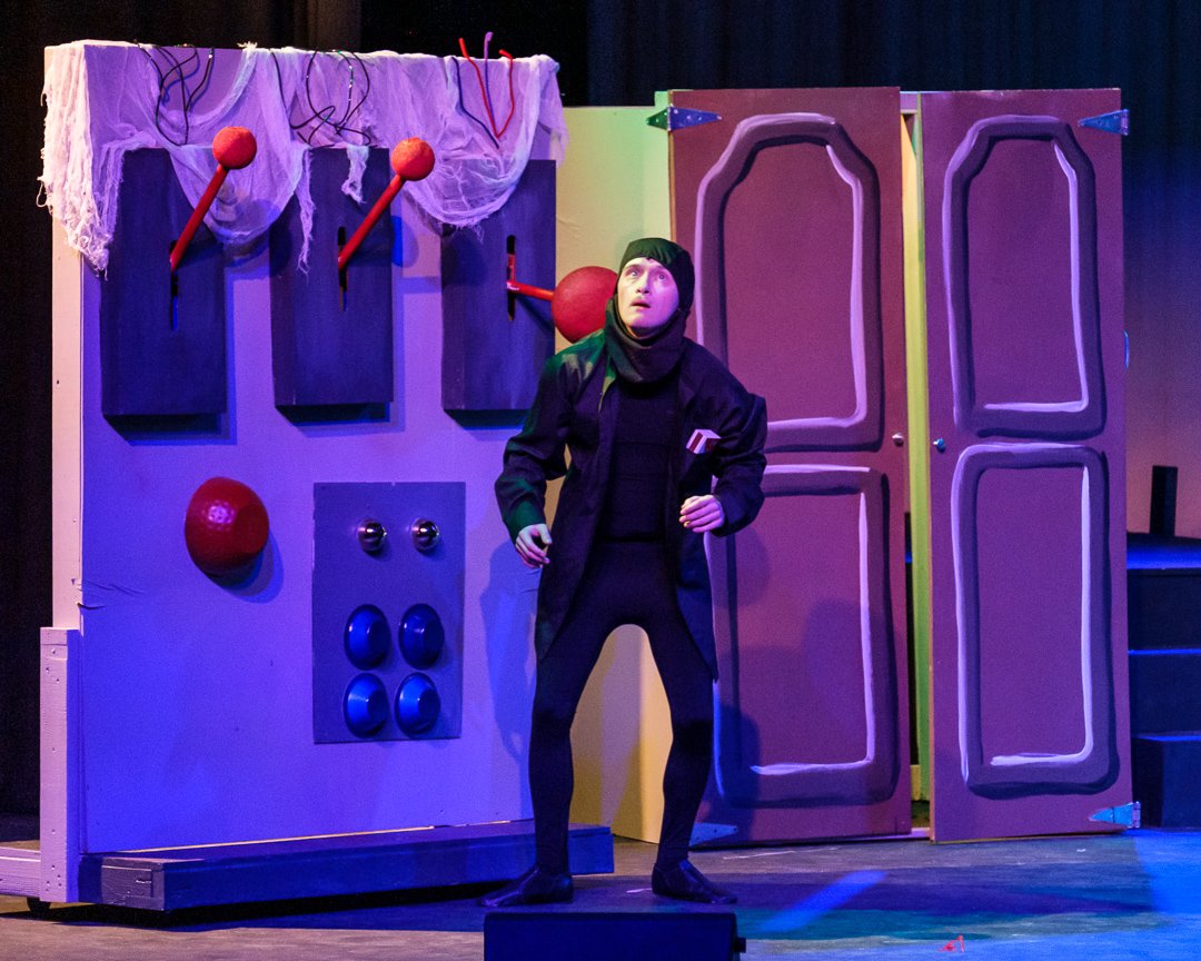 youngfrankenstein241048.jpg