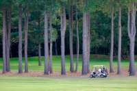 mdgolf140922712_small.jpg