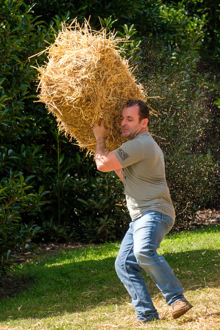 haybale20093.jpg