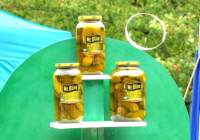 pickletoss1434_01_small.jpg