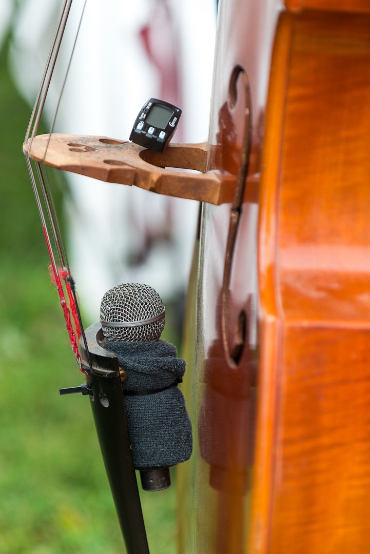 fiddle12061208.jpg