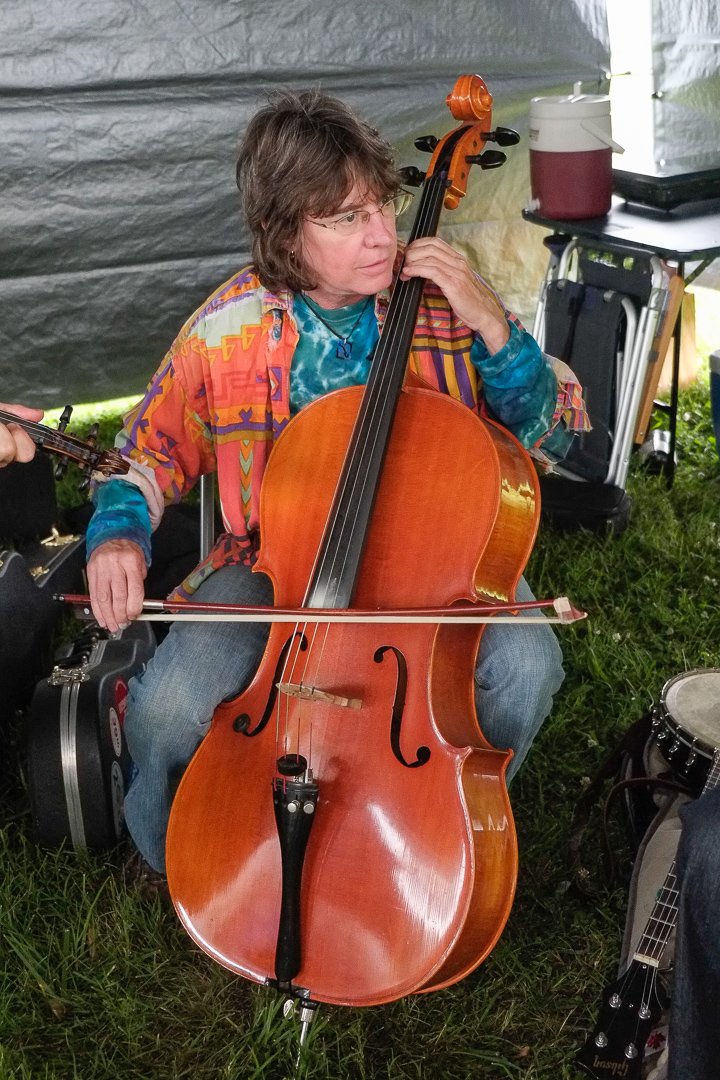 fiddle13063984.jpg