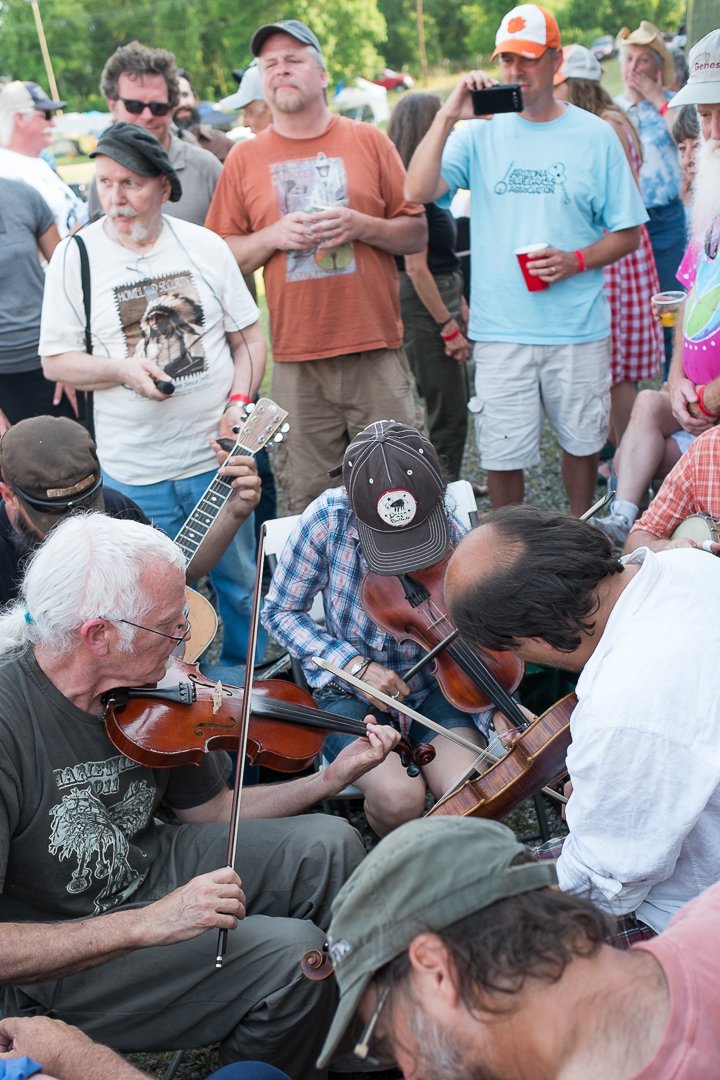 fiddle140612568.jpg