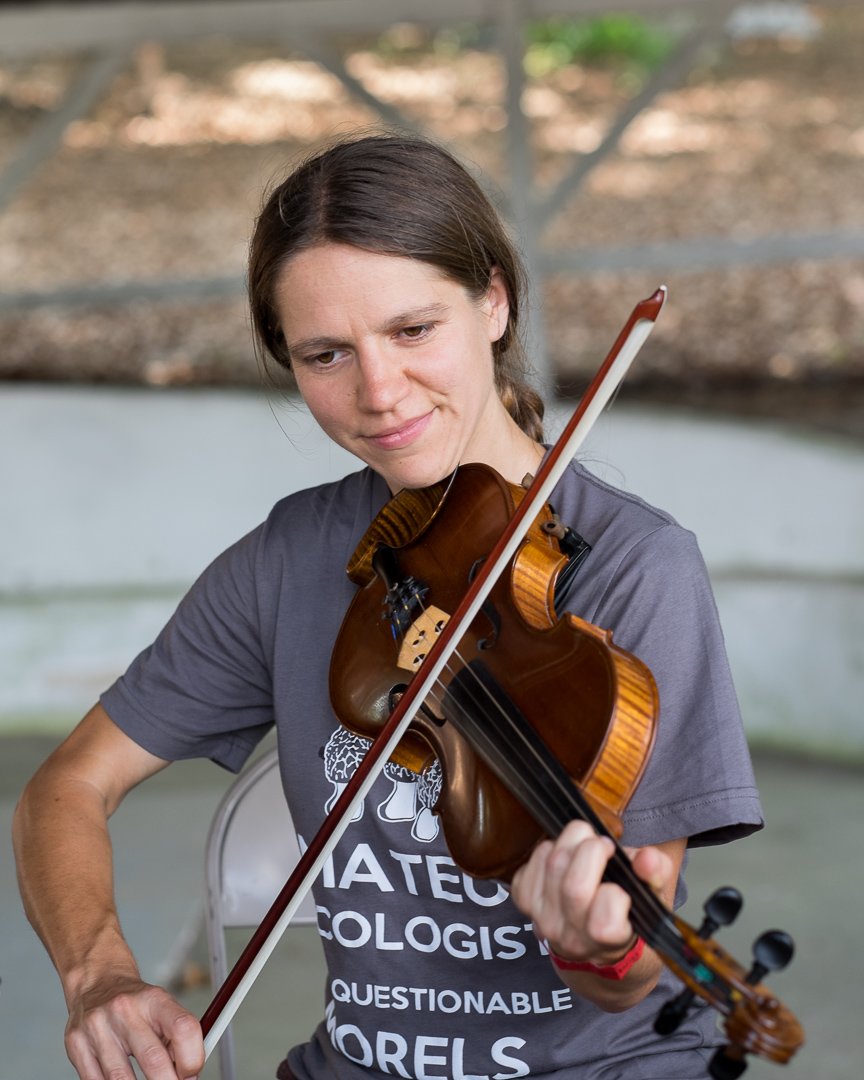 fiddle140628539.jpg