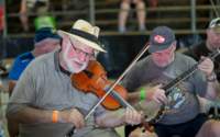 fiddle140612085_small.jpg