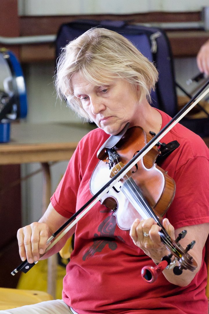 fiddle17065486.jpg