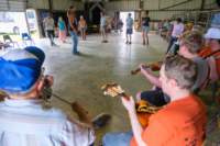 fiddlersconventionworkshops2506174_small.jpg