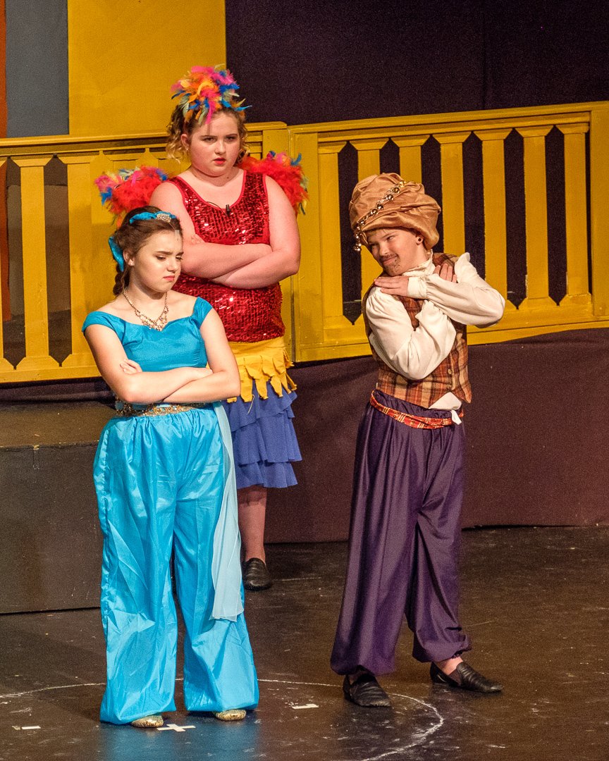 aladdin17060657.jpg