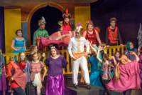 aladdin17060873_small.jpg