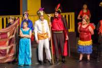 aladdin17060899_small.jpg