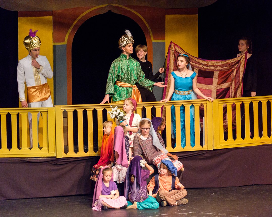 aladdin17060976.jpg